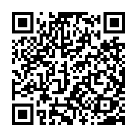 QR code for P30NYY
