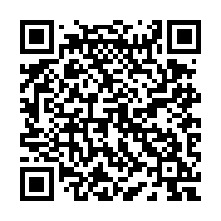 QR code for P32DIG