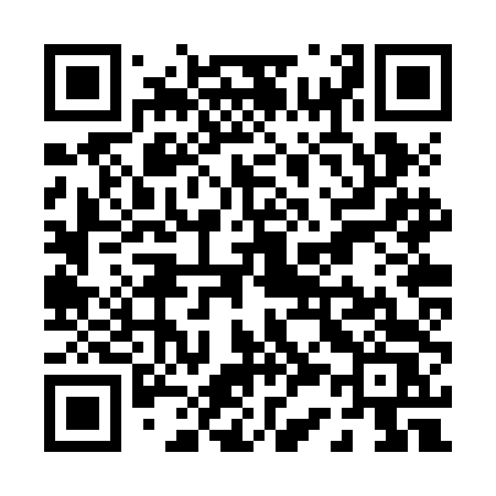 QR code for P32ZDS