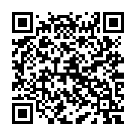 QR code for P32ZIN