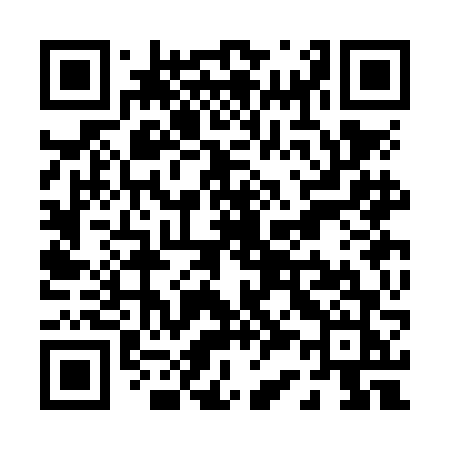 QR code for P33NFJ