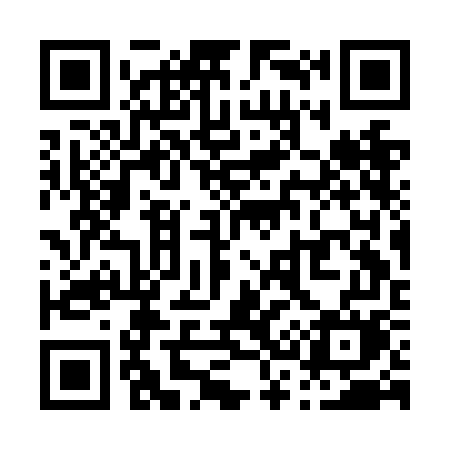 QR code for P33NGM