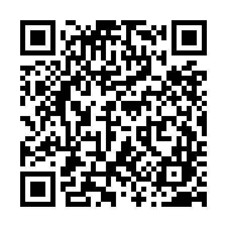 QR code for P33ODL