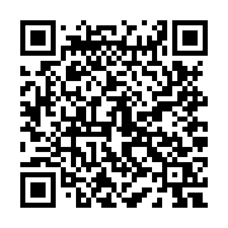 QR code for P36HWS