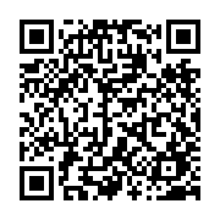 QR code for P36NID