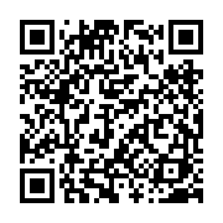 QR code for P38BFI