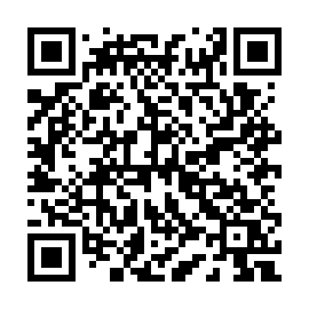 QR code for P38GUS