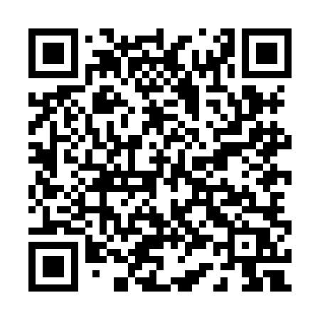 QR code for P38HLP
