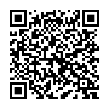 QR code for P38OPA