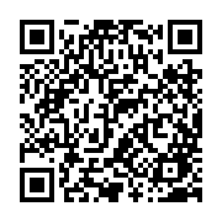 QR code for P38SMG