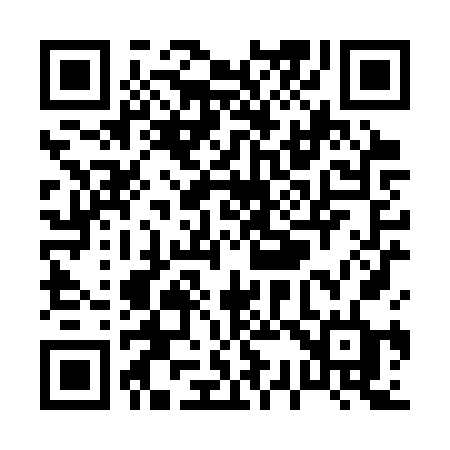 QR code for P38SVD