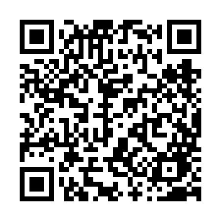 QR code for P38VMG