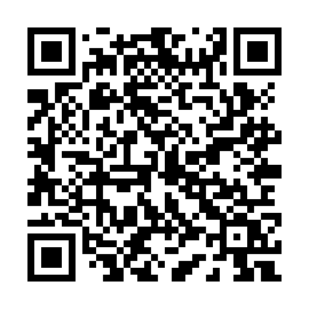 QR code for P38ZOV