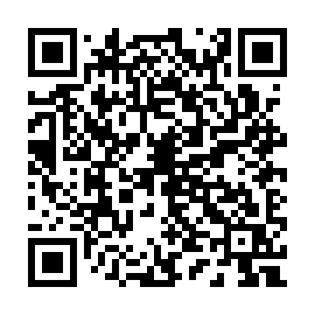 QR code for P40AYS