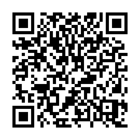 QR code for P40HNP