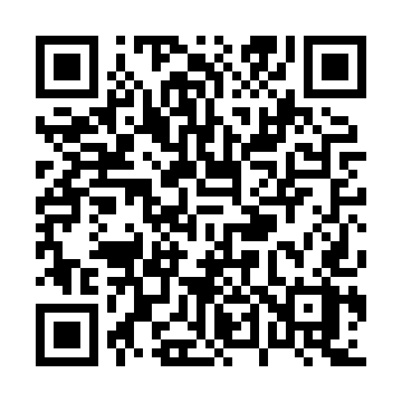 QR code for P40HUX