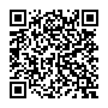 QR code for P40LPU