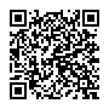 QR code for P41PFM
