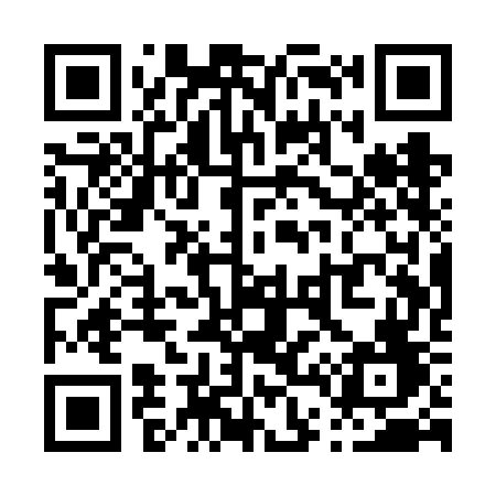 QR code for P41VGF