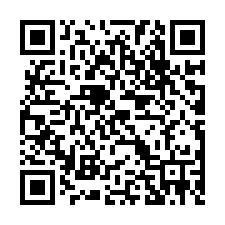 QR code for P42IST