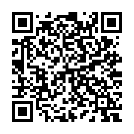 QR code for P42VGI