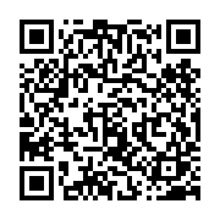 QR code for P45DIS
