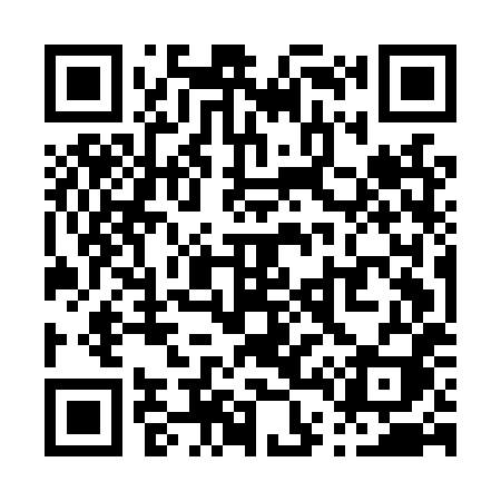 QR code for P45LXI