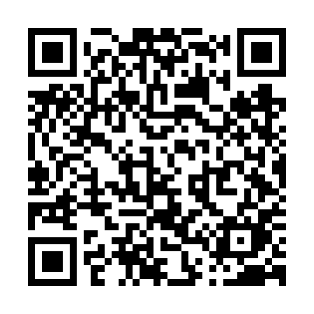 QR code for P46FPM