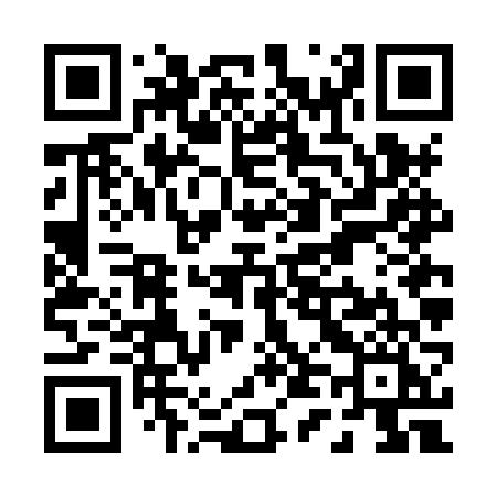 QR code for P46HVI