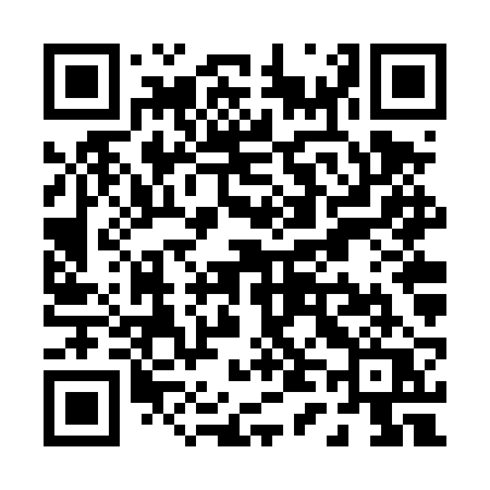 QR code for P46TRQ