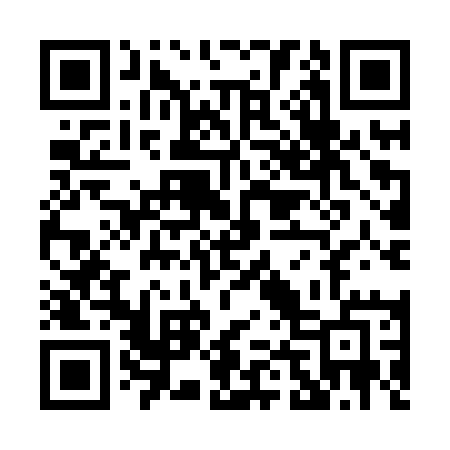 QR code for P49HQE