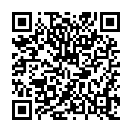 QR code for P49YKN