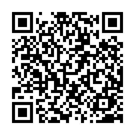 QR code for P50AOL