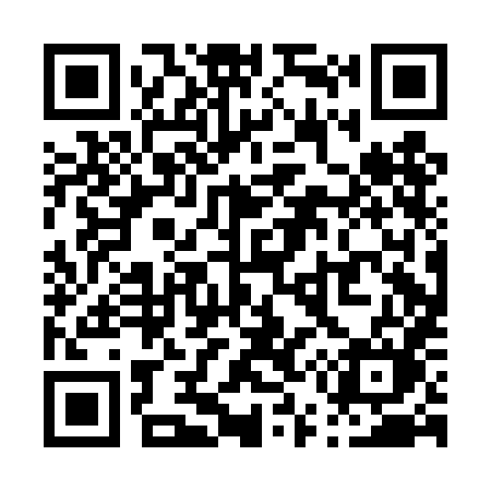 QR code for P50DHM