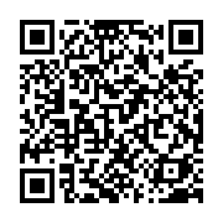 QR code for P50MSI
