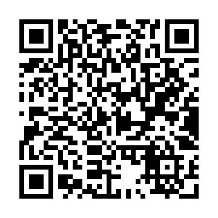 QR code for P51QJE
