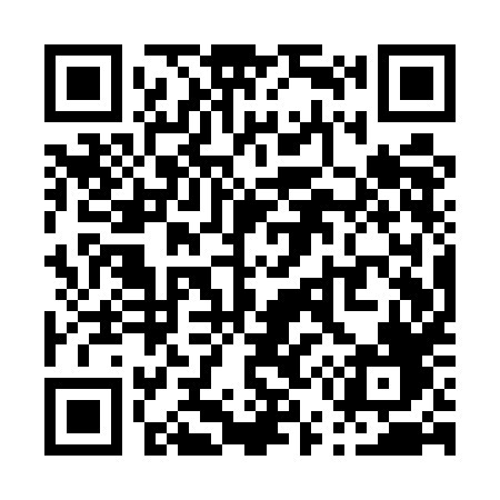 QR code for P51UHF