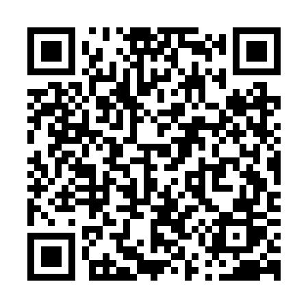 QR code for P53BWR