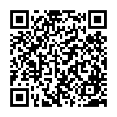 QR code for P53DDN