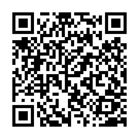 QR code for P53DPZ