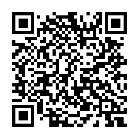 QR code for P53DRB