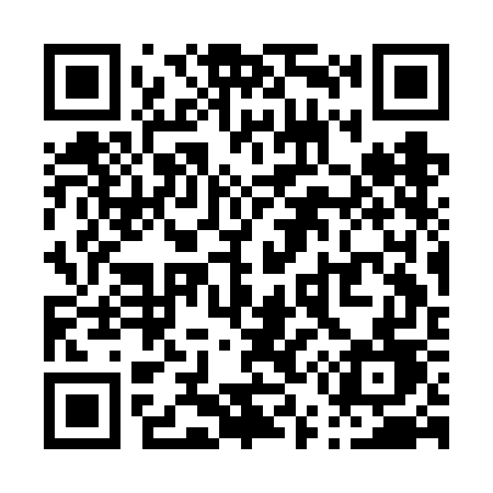QR code for P53FGD