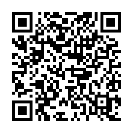 QR code for P53HII