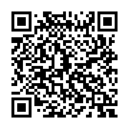 QR code for P53ISA