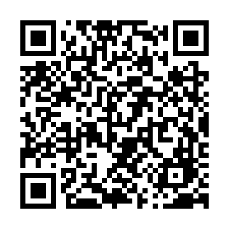 QR code for P53SVD