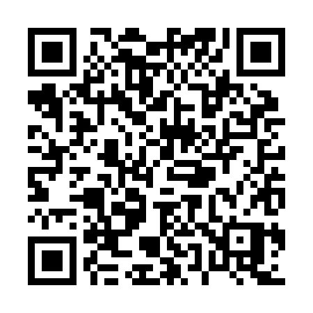 QR code for P53ZHP
