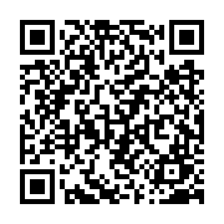 QR code for P54GVT
