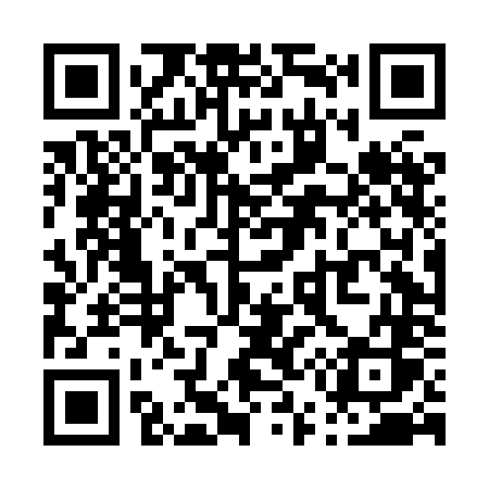 QR code for P54HNS