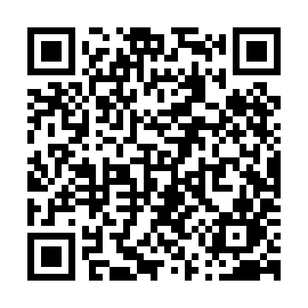 QR code for P54PIN