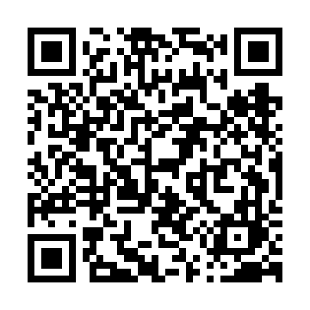 QR code for P55FFL